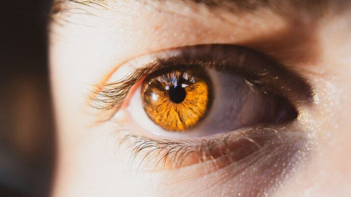 Breye Therapeutics Raises €67.5M for Oral Eye Drugs